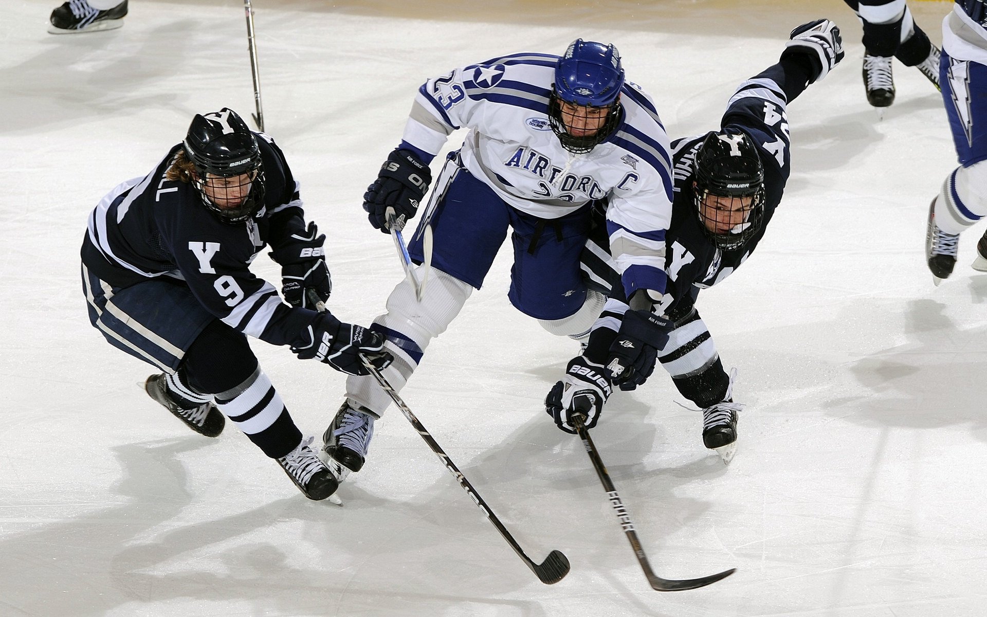 LEYU乐鱼体育官方网站-哈兰德10场13球，超英超10队进球数，哈兰德进球视频